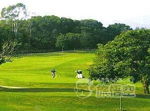 青島 国際 ゴルフ クラブ 山東