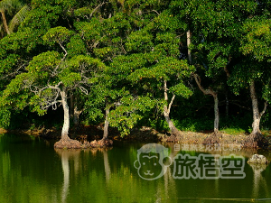 東寨港自然保護区 海南島